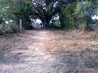 cleaned_photo